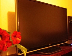 ロハス　K 156.jpg