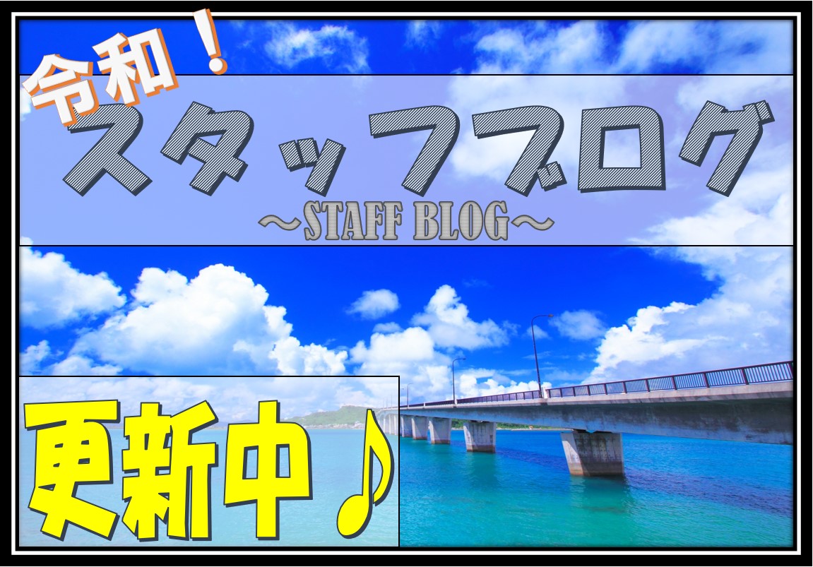 スタッフ沖縄情報ブログ